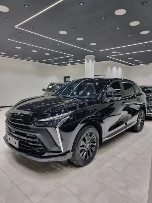 DF Joyear  T5 EVO 2025 FORTHING Luxury