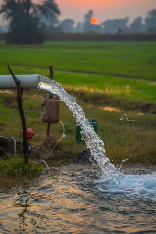 Instalation et suivis des équipements d'irrigation ( pompes - مضخات )