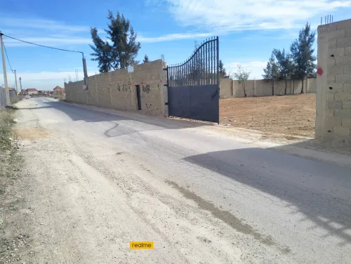 Vente Terrain Sétif Mezloug