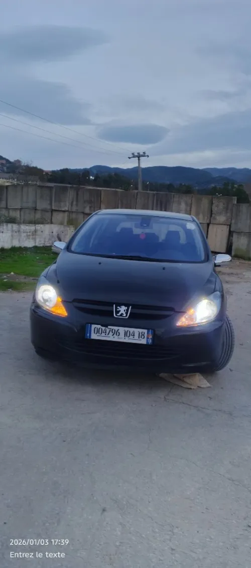 Peugeot 307 2004 XT