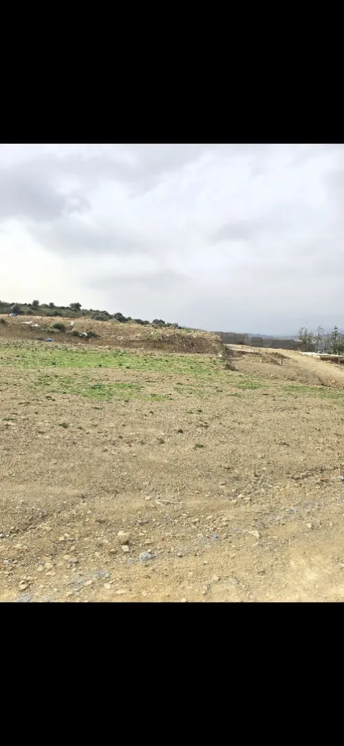 Vente Terrain Blida Ain romana