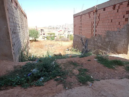 Vente Terrain Tlemcen Tlemcen