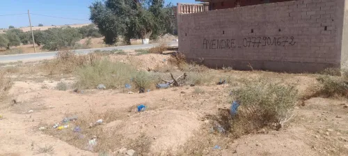 Vente Terrain Tlemcen Maghnia
