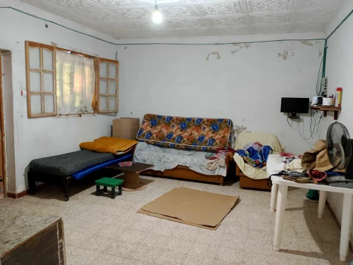 Vente Terrain Agricole Mostaganem El hassiane