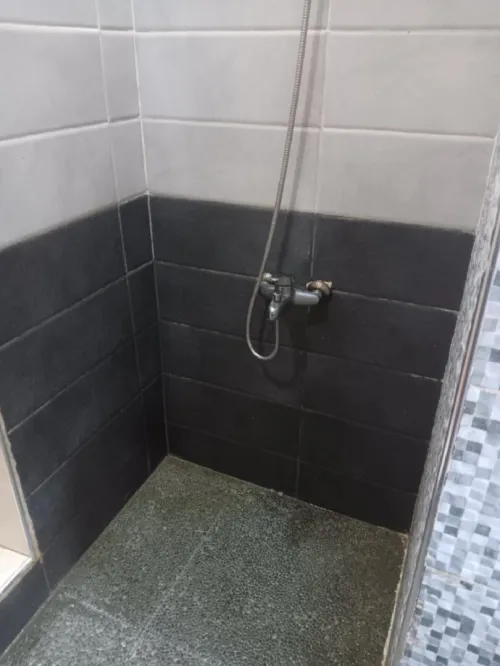 Vente Appartement F4 Oran Oran