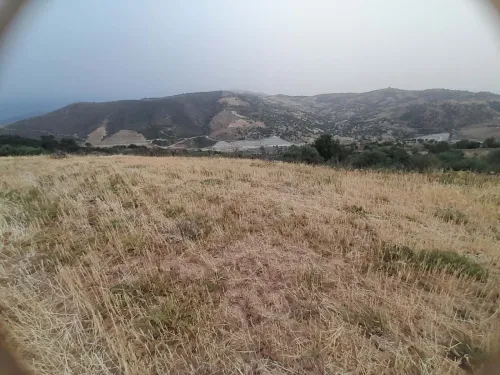 Vente Terrain Tizi Ouzou Draa el mizan