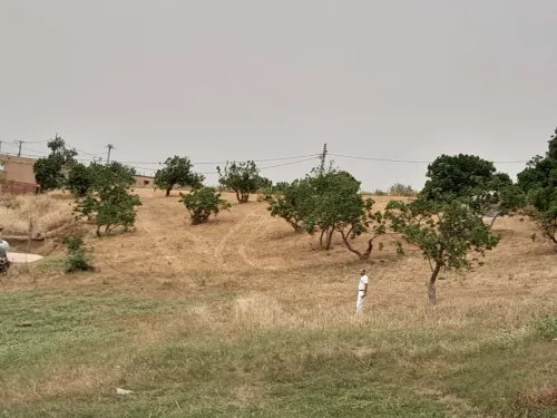 Vente Terrain Tizi Ouzou Draa el mizan