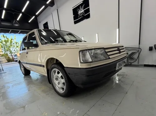 Peugeot 309 1991 