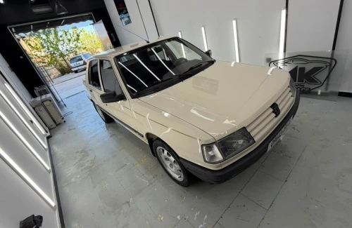 Peugeot 309 1991 
