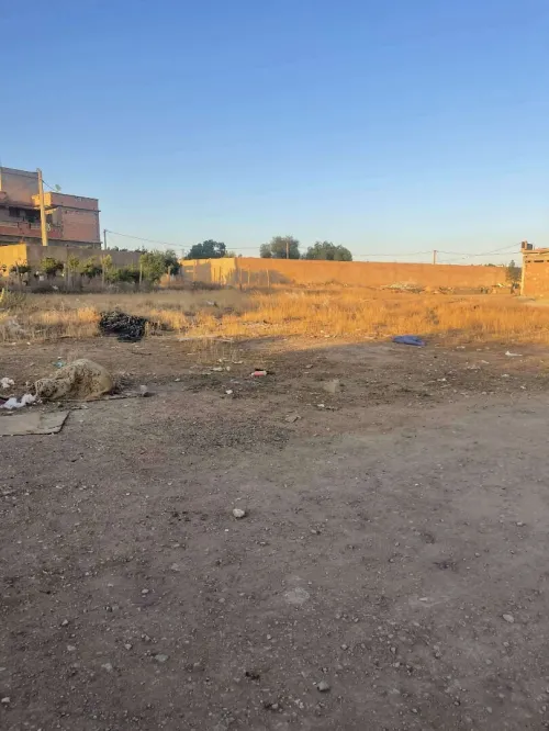 Vente Terrain Sidi Bel Abbès Sidi bel abbes