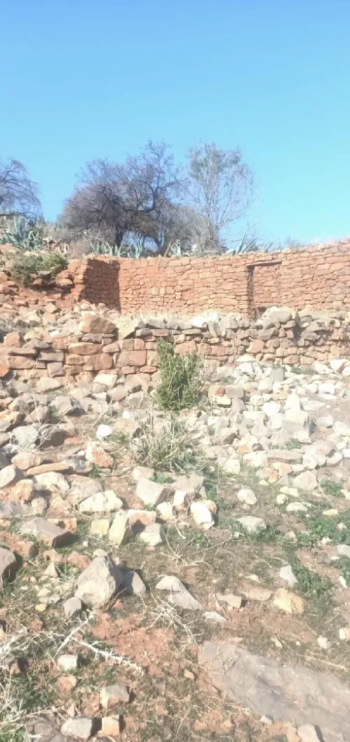 Vente Terrain Tlemcen Ain fetah