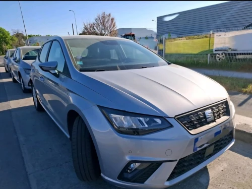 Seat Ibiza 2023 Style