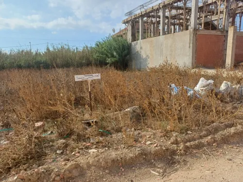 Vente Terrain Alger Tessala el merdja