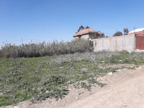 Vente Terrain Alger Tessala el merdja