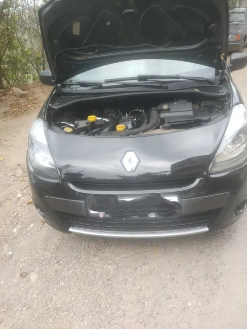 Renault Clio 3 2010 Night and day