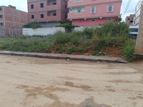 Vente Terrain Constantine El khroub