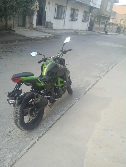 Sam 400 Z400 2019