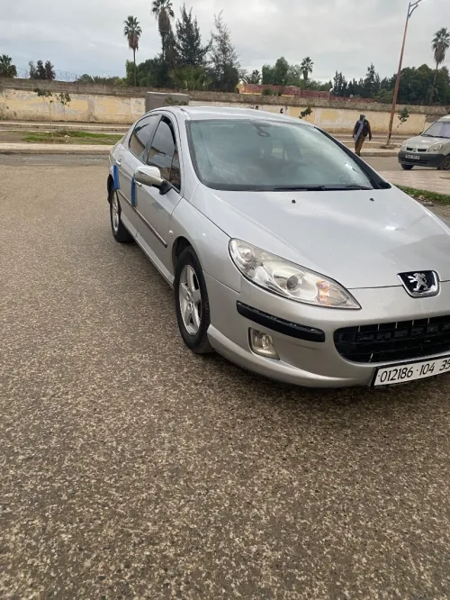 Peugeot 407 2004 407