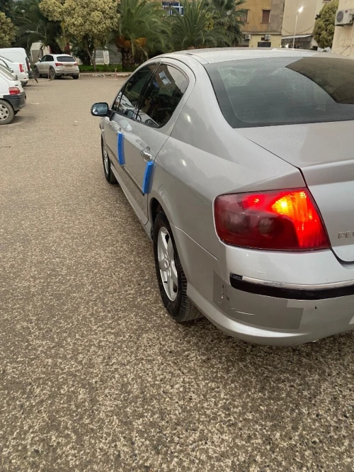 Peugeot 407 2004 407