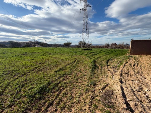 Vente Terrain Agricole Tlemcen Mansourah