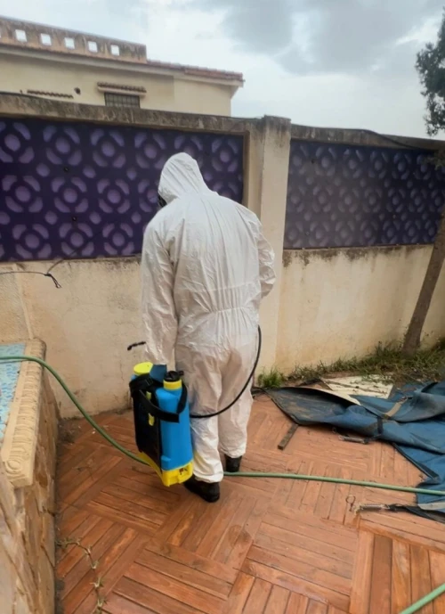 Entreprise de Dératisation, Désinsectisation 3D, Désinfection & Fumigation à Alger
