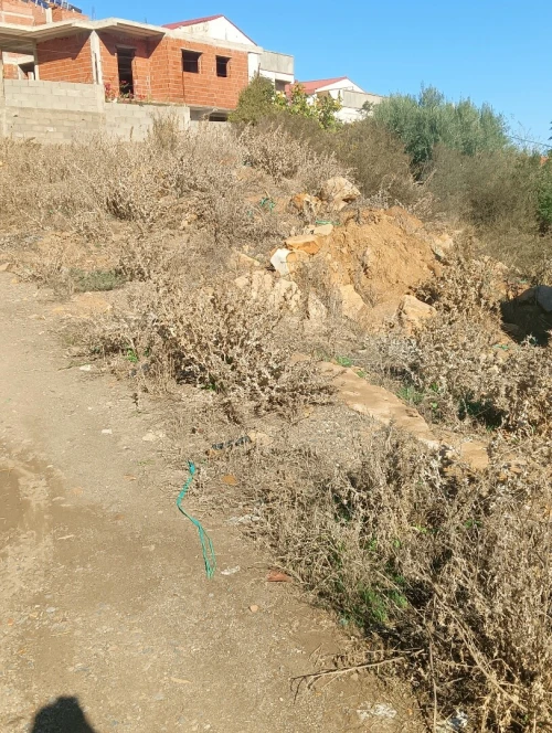 Vente Terrain Tizi Ouzou Tigzirt