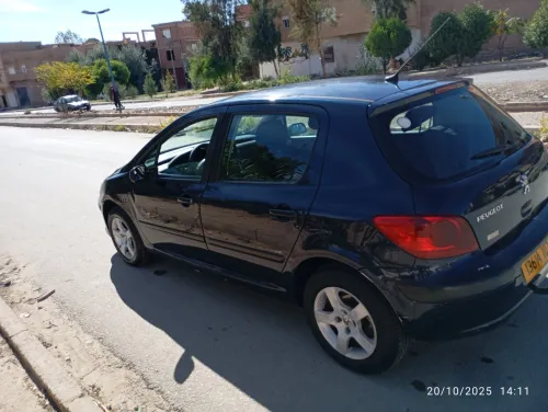 Peugeot 307 2007 307