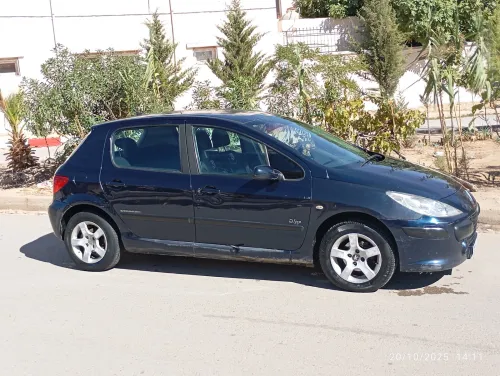 Peugeot 307 2007 307