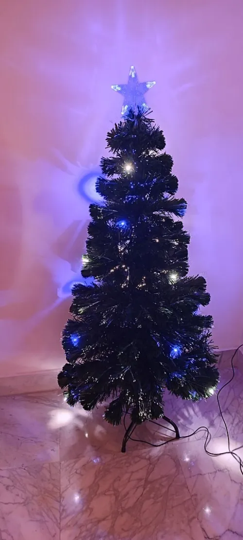 Christmas tree, شجرة عيد الميلاد, arbre de Noël