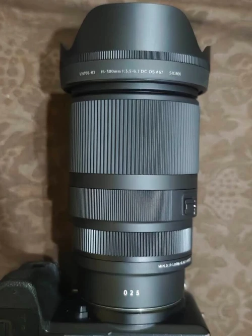 Sigma 16-300mm f/3.5-6.7 DC Sony (e-Mount)