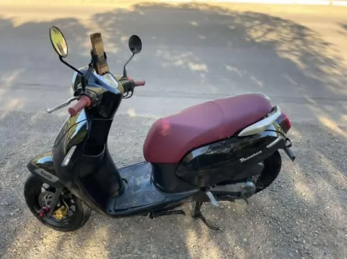 Beneli Panaria 2023