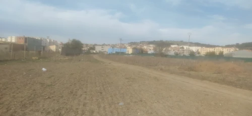 Vente Terrain Tipaza Sidi rached