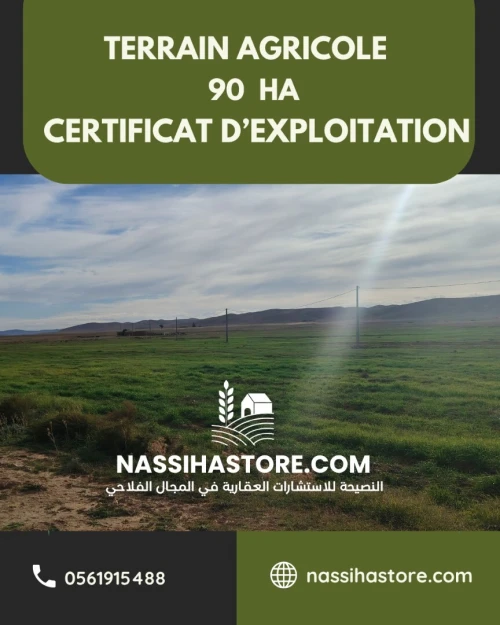 Vente Terrain Agricole Djelfa Djelfa