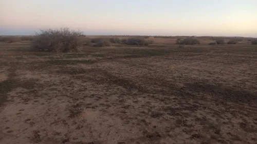Vente Terrain Agricole Djelfa Ain oussara