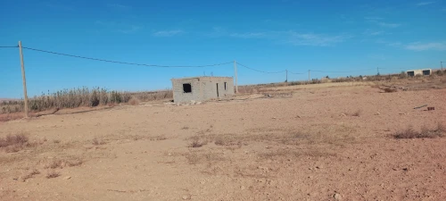Vente Terrain Agricole Djelfa Djelfa