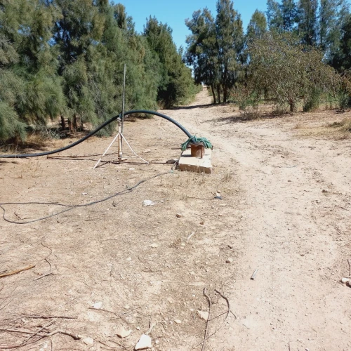 Vente Terrain Agricole Djelfa Benhar