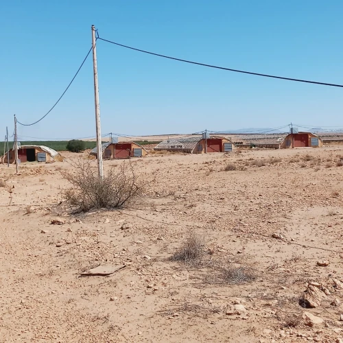 Vente Terrain Agricole Djelfa Benhar