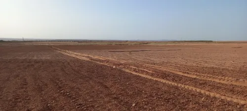 Vente Terrain Agricole Djelfa Djelfa