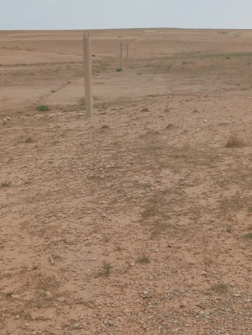 Vente Terrain Agricole Djelfa Djelfa