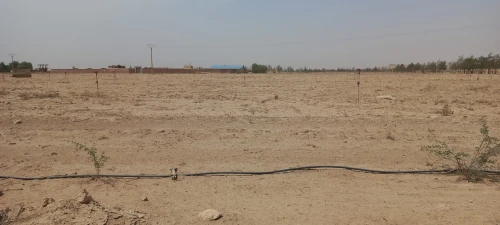 Vente Terrain Agricole Djelfa Ain oussara