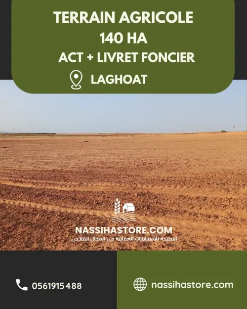 Vente Terrain Agricole Laghouat Laghouat