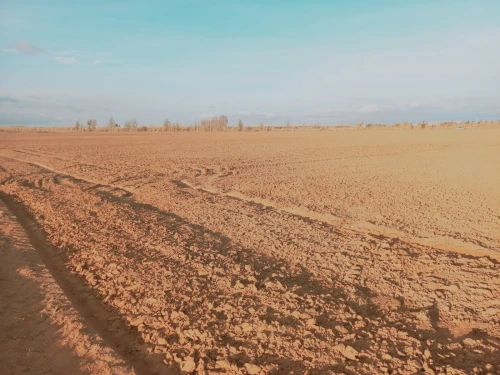 Vente Terrain Agricole Djelfa Ain oussara