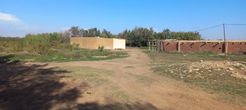 Vente Terrain Agricole Djelfa Ain oussara