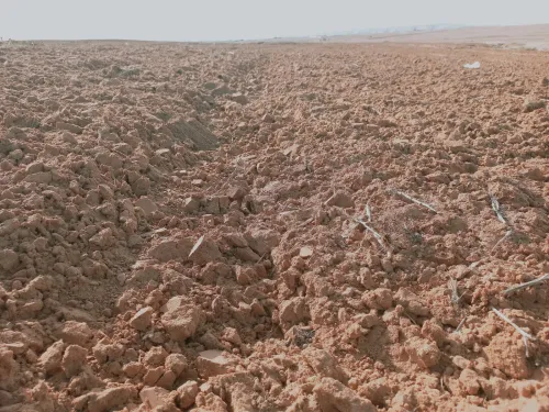 Vente Terrain Agricole Djelfa Djelfa