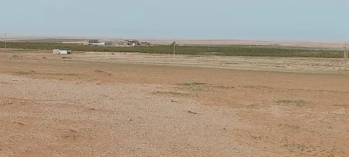 Vente Terrain Agricole Djelfa Ain oussara