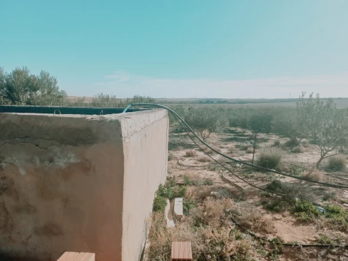 Vente Terrain Agricole Djelfa Ain oussara