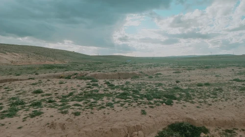 Vente Terrain Agricole Djelfa Djelfa