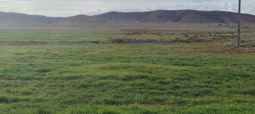 Vente Terrain Agricole Djelfa Djelfa