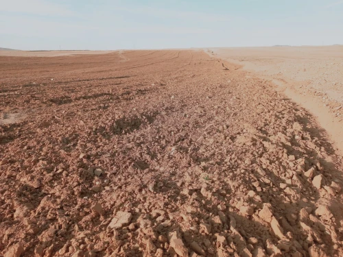 Vente Terrain Agricole Djelfa Djelfa