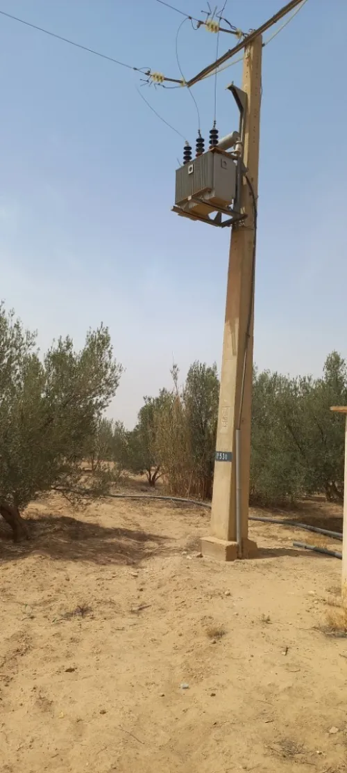 Vente Terrain Agricole Djelfa Ain oussara